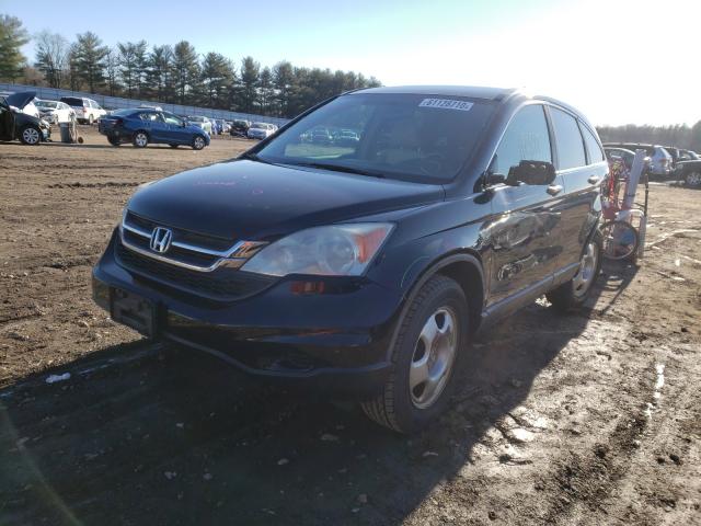 2010 HONDA CR-V LX 5J6RE4H34AL067600