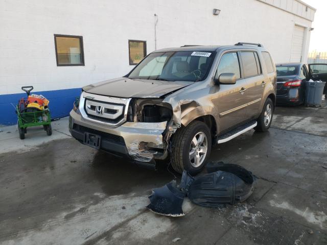 2010 HONDA PILOT EXL 5FNYF4H56AB031376