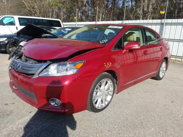 2010 LEXUS HS 250H JTHBB1BA4A2011957