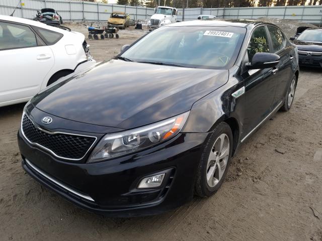 2015 KIA OPTIMA HYB KNAGM4AD0F5081456