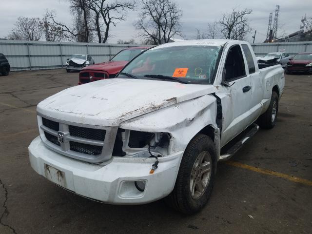2011 DODGE DAKOTA SLT 1D7RW3BK8BS563090