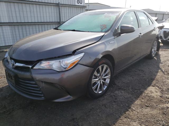 2016 TOYOTA CAMRY HYBR - 4T1BD1FK9GU180492