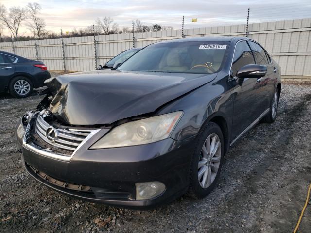 2010 LEXUS ES 350 JTHBK1EG4A2351870