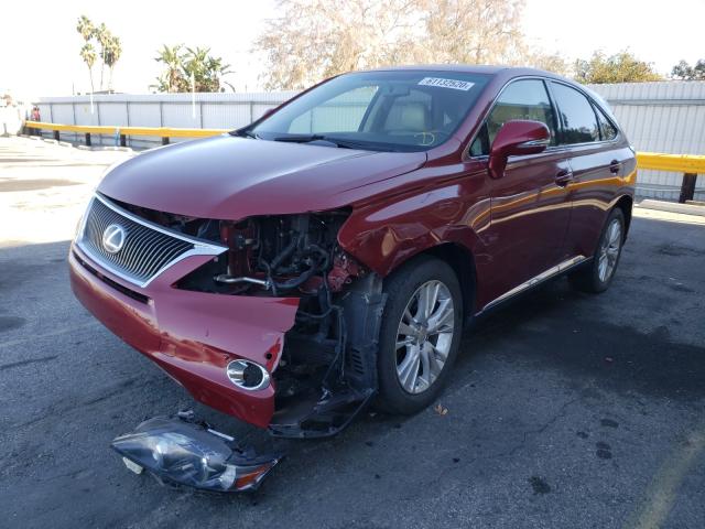 2011 LEXUS RX 450 JTJZB1BA5B2005342