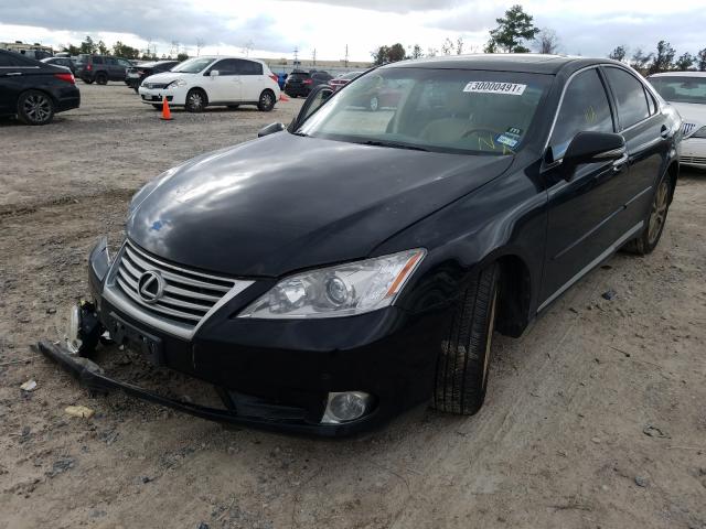 2010 LEXUS ES 350 JTHBK1EG7A2409423