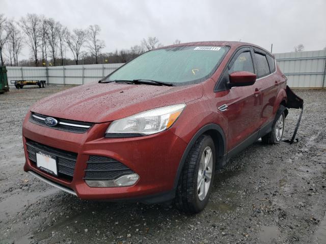 2014 FORD ESCAPE 1FMCU0GX1EUB22222