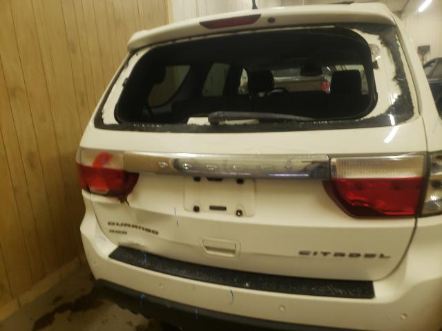2011 DODGE DURANGO CI 1D4RE5GG8BC717386