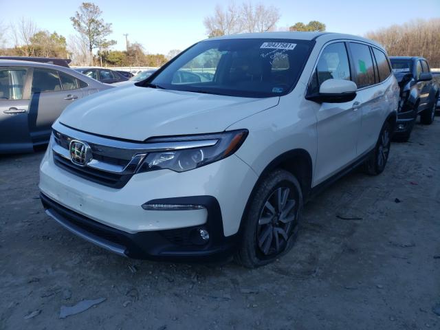 2019 HONDA PILOT EXL 5FNYF5H51KB008644