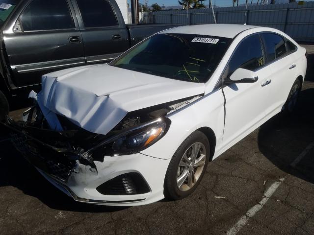 2019 HYUNDAI SONATA LIM 5NPE34AF5KH788674