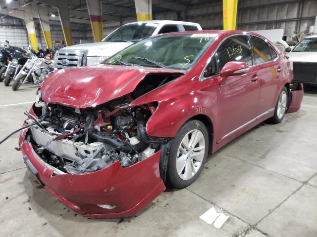 2010 LEXUS HS250H JTHBB1BA3A2028507