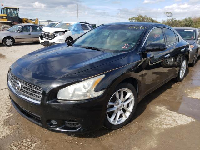 2011 NISSAN MAXIMA 1N4AA5AP1BC863326