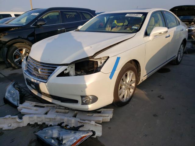 2011 LEXUS ES 350 JTHBK1EG3B2439293