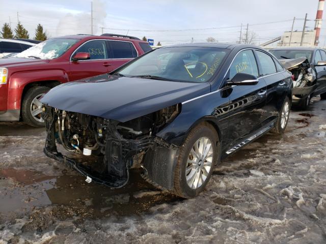 2015 HYUNDAI SONATA SPO 5NPE34AF1FH229144