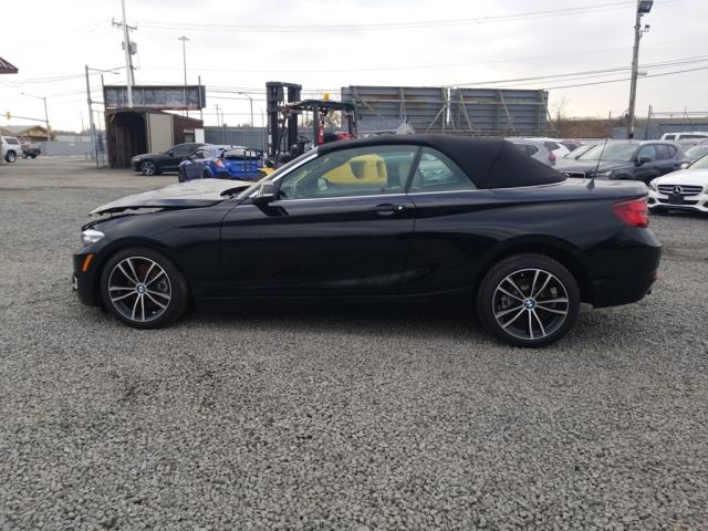 2020 BMW 230XI WBA2K1C08L7E55484