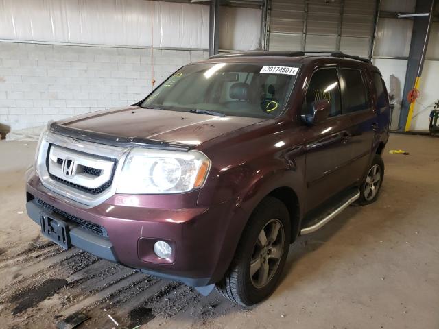 2010 HONDA PILOT EXL 5FNYF4H58AB030925