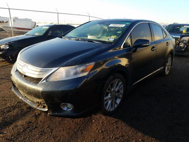 2010 LEXUS HS 250H JTHBB1BA5A2018013