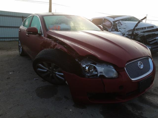 2011 JAGUAR XF PREMIUM - SAJWA0GB2BLR90036