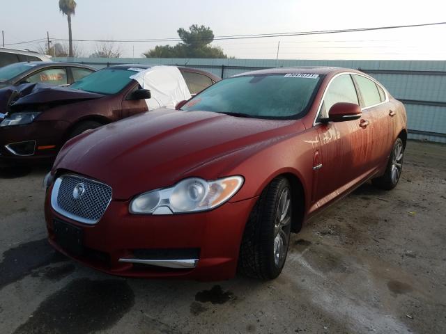 2011 JAGUAR XF PREMIUM - SAJWA0GB2BLR90036