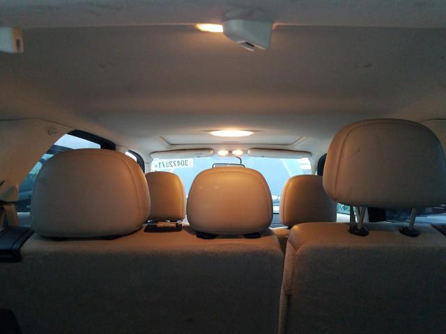 2010 FORD ESCAPE 1FMCU4K37AKB07919