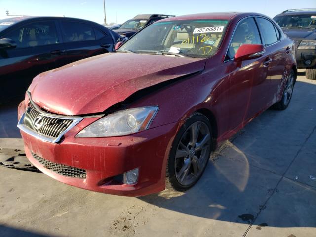 2010 LEXUS IS 250 JTHBF5C21A2098588