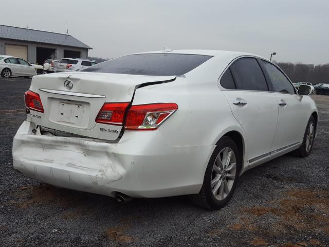 2010 LEXUS ES 350 JTHBK1EG7A2374754