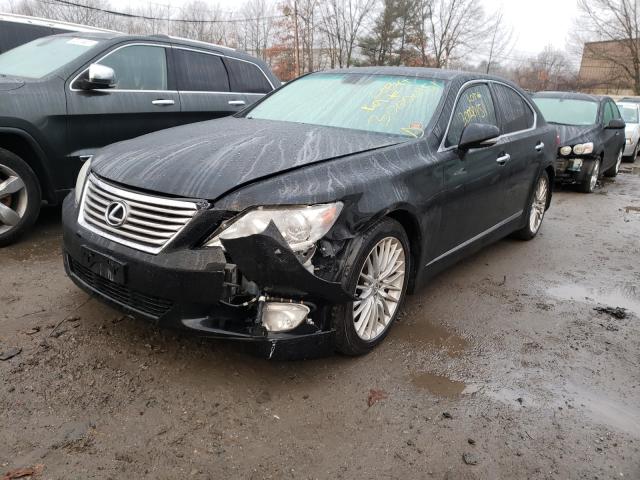 2010 LEXUS LS 460 JTHBL5EF4A5101555
