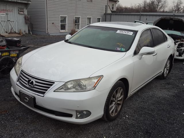 2010 LEXUS ES 350 JTHBK1EG7A2374754