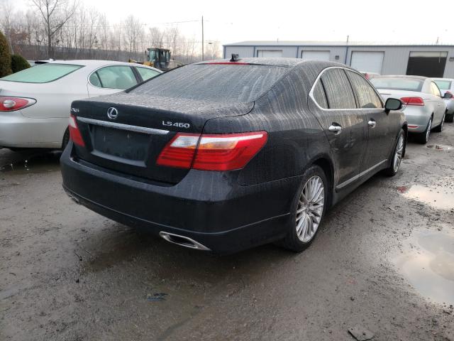 2010 LEXUS LS 460 JTHBL5EF4A5101555