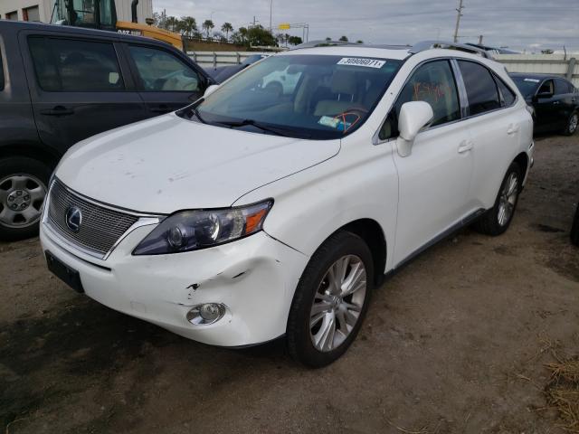 2011 LEXUS RX 450 JTJBC1BA4B2037648