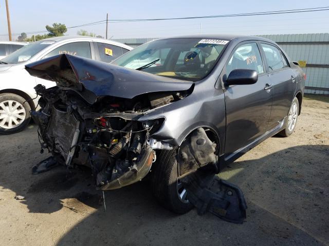 2010 TOYOTA COROLLA BA - 2T1BU4EE5AC444247
