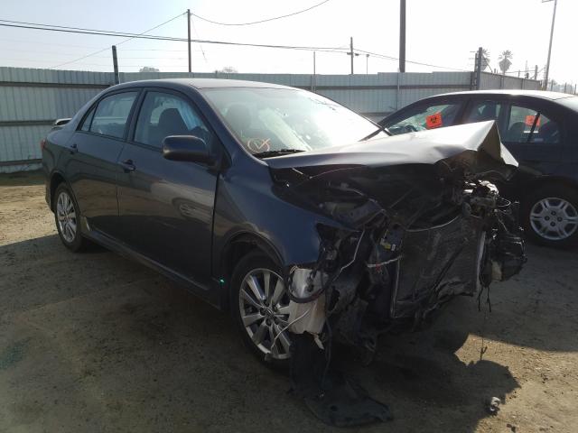 2010 TOYOTA COROLLA BA - 2T1BU4EE5AC444247