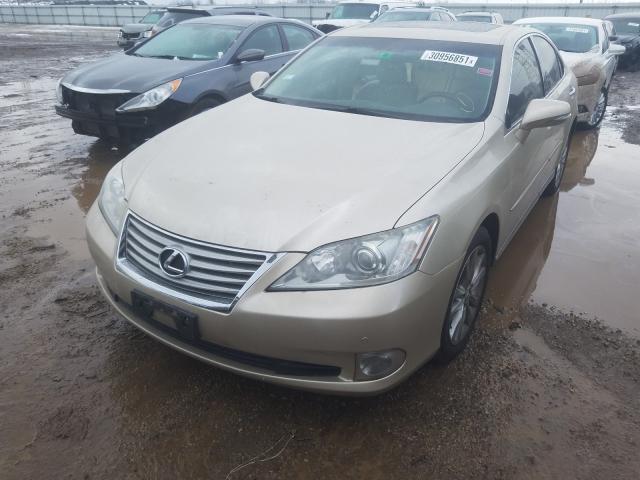 2010 LEXUS ES 350 JTHBK1EG6A2408604