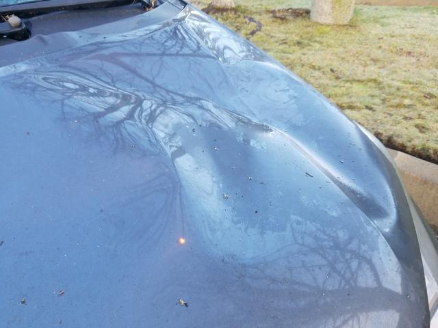 2010 HONDA INSIGHT EX JHMZE2H76AS040674