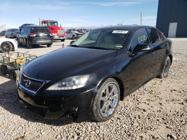 2011 LEXUS IS 250 JTHCF5C21B5051811