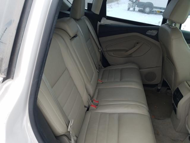 2013 FORD C-MAX SEL 1FADP5BU7DL502492