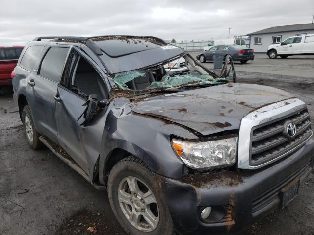 2011 TOYOTA SEQUOIA SR 5TDBY5G15BS053225