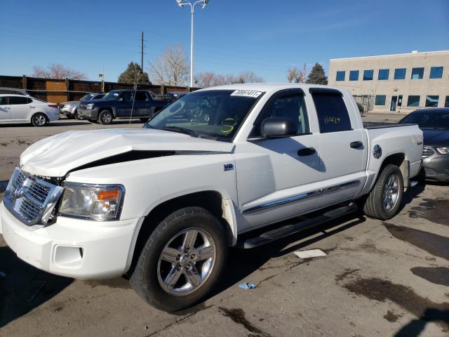 2011 DODGE DAKOTA LAR 1D7RW5GP8BS537122