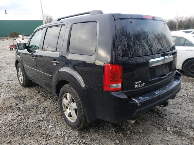 2011 HONDA PILOT EXL 5FNYF4H55BB064600