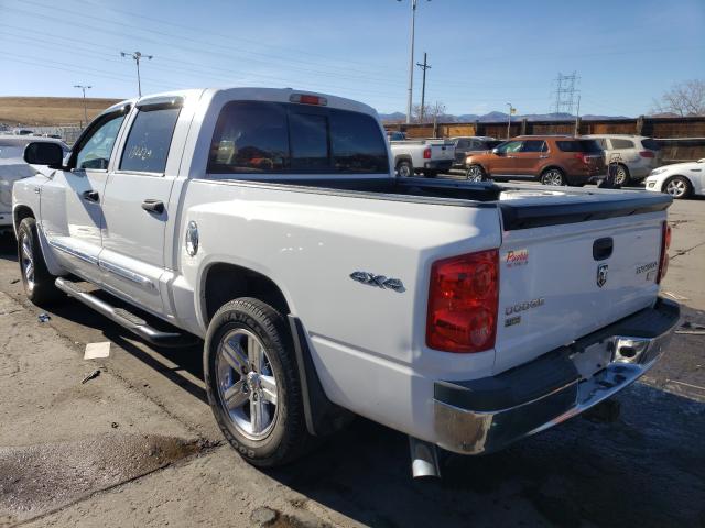 2011 DODGE DAKOTA LAR 1D7RW5GP8BS537122