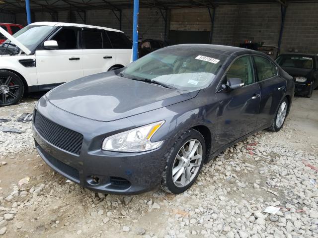 2010 NISSAN MAXIMA 1N4AA5AP4AC827712