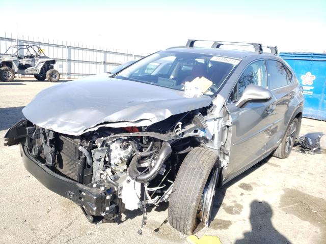 2020 LEXUS NX 300H JTJGJRDZ2L2143983