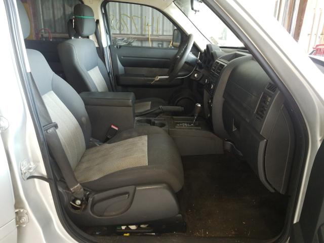 2010 DODGE NITRO SE 1D4PT2GK7AW105306