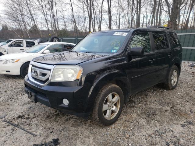 2011 HONDA PILOT EXL 5FNYF4H55BB064600