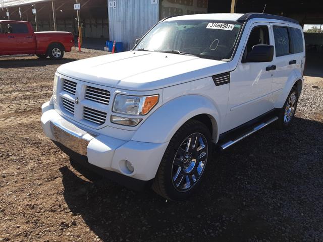 2011 DODGE NITRO HEAT 1D4PU4GX9BW517684