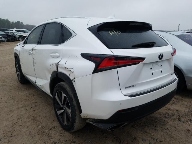 2019 LEXUS NX 300 BAS JTJYARBZ5K2132756