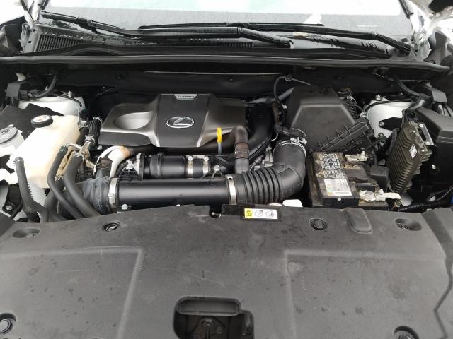 2019 LEXUS NX 300 BAS JTJYARBZ5K2132756