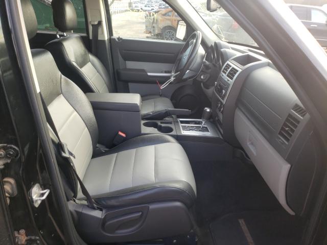 2010 DODGE NITRO SXT 1D4PU5GKXAW134698