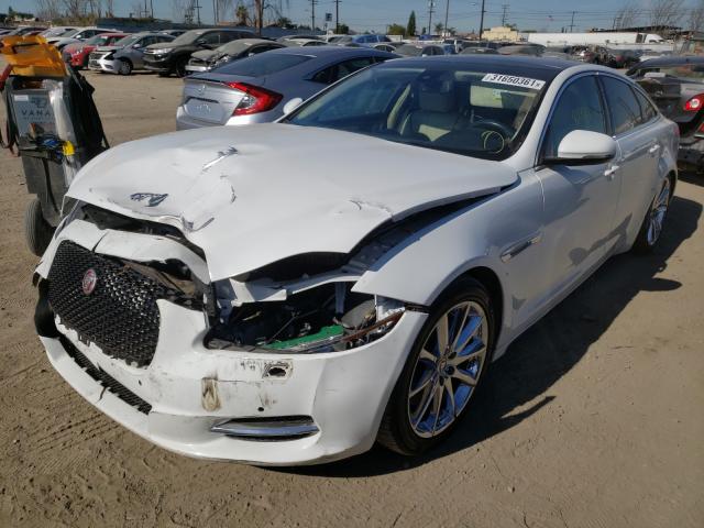 2011 JAGUAR XJ SAJWA1CB3BLV05513