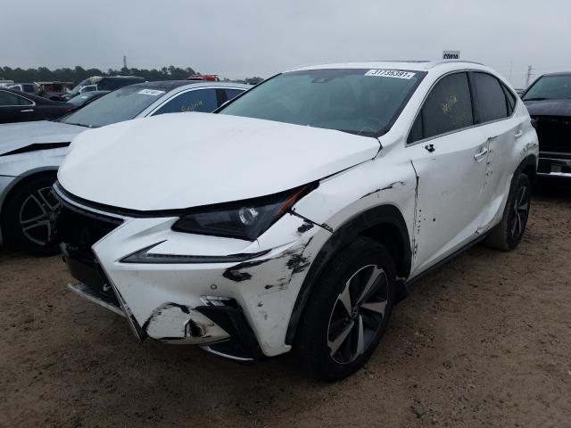 2019 LEXUS NX 300 BAS JTJYARBZ5K2132756