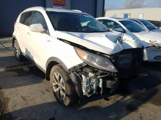 KNDPBCAC2E7588131 KIA SPORTAGE Photo 1